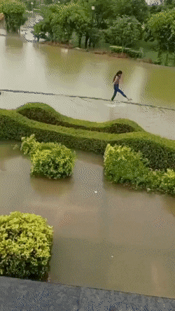 gifs_08.gif