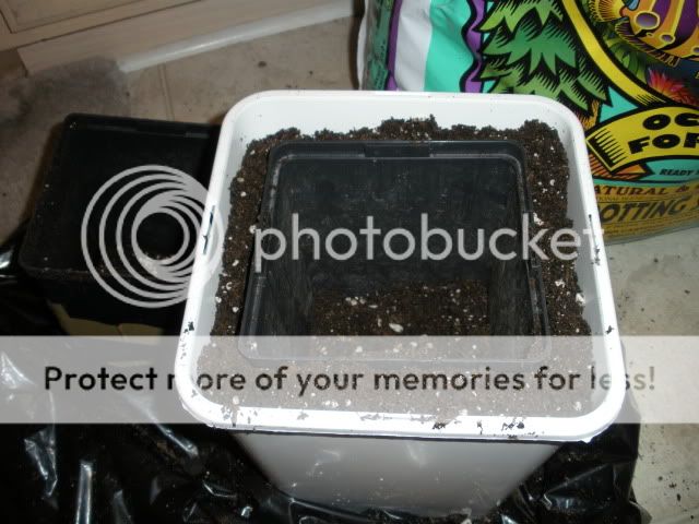 DSCN0652.jpg