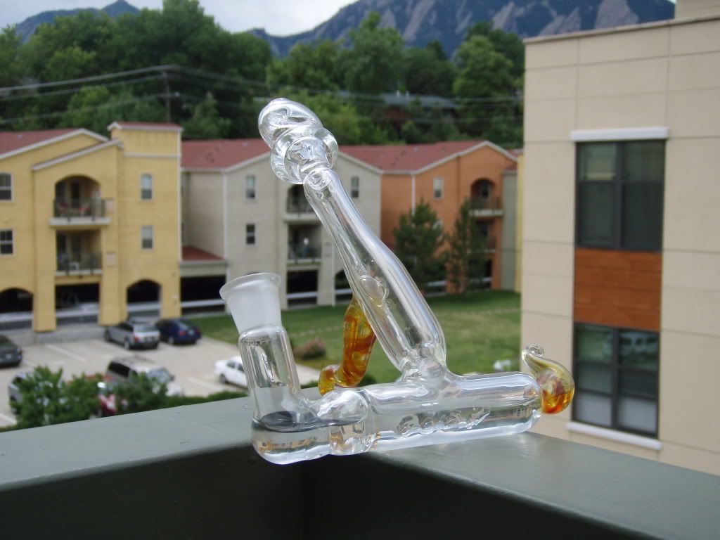 P1010294.jpg