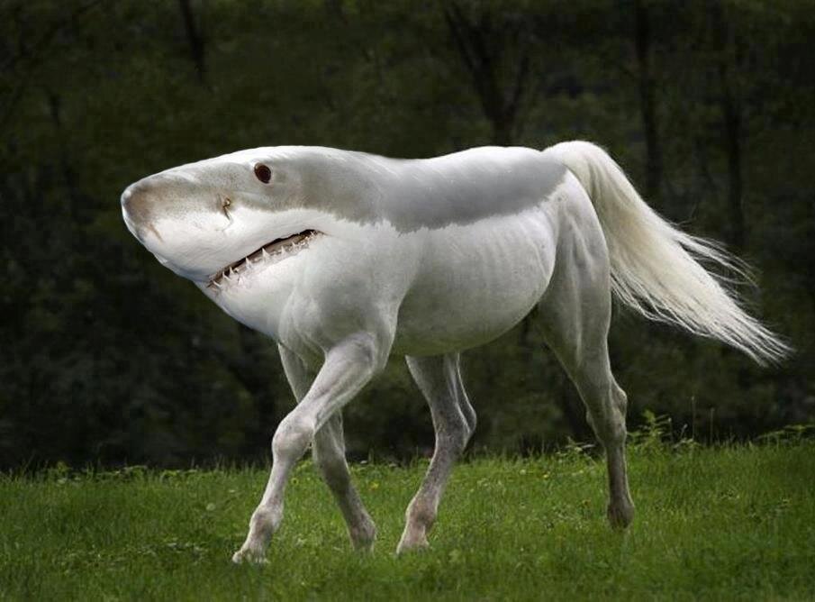 BEcUCouCQAApLlv.jpg:large