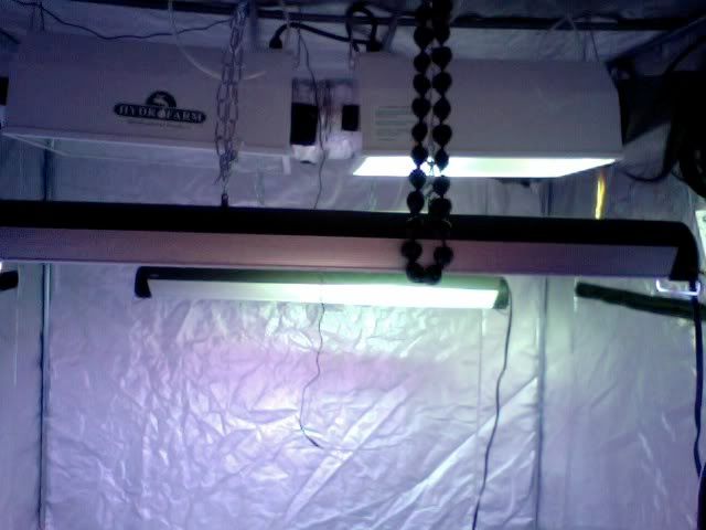 Photo7.jpg