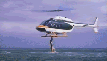 last-shark-gif-444.gif