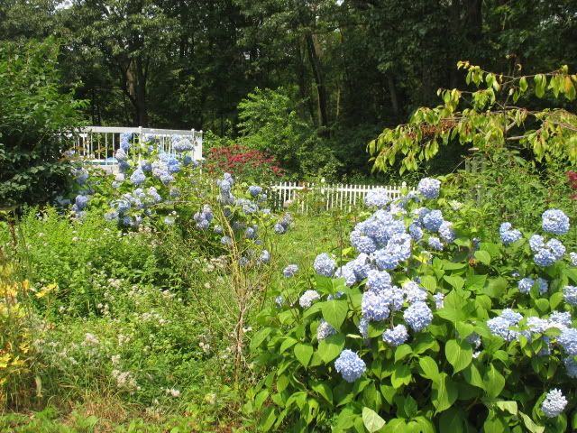 Picture025-2.jpg