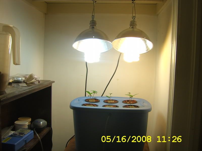 DCAM0183.jpg