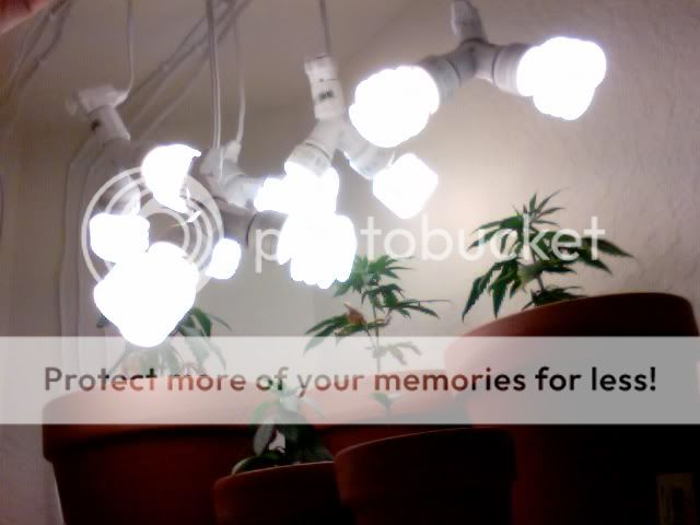 Photoon2010-03-31at09532.jpg