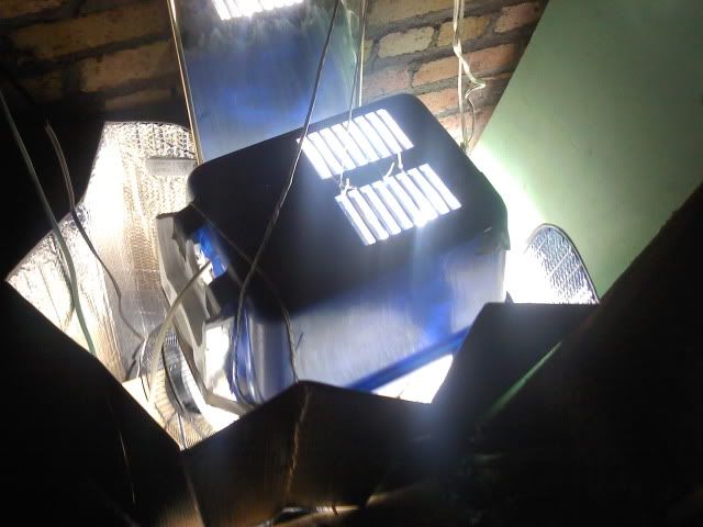 0617112008.jpg
