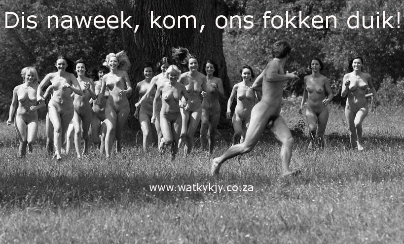 duik48.jpg