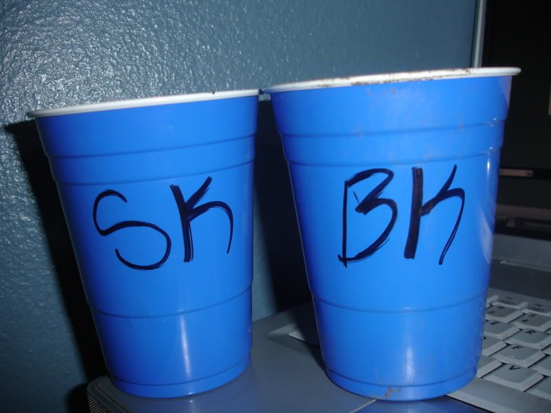 owdgbn002.jpg