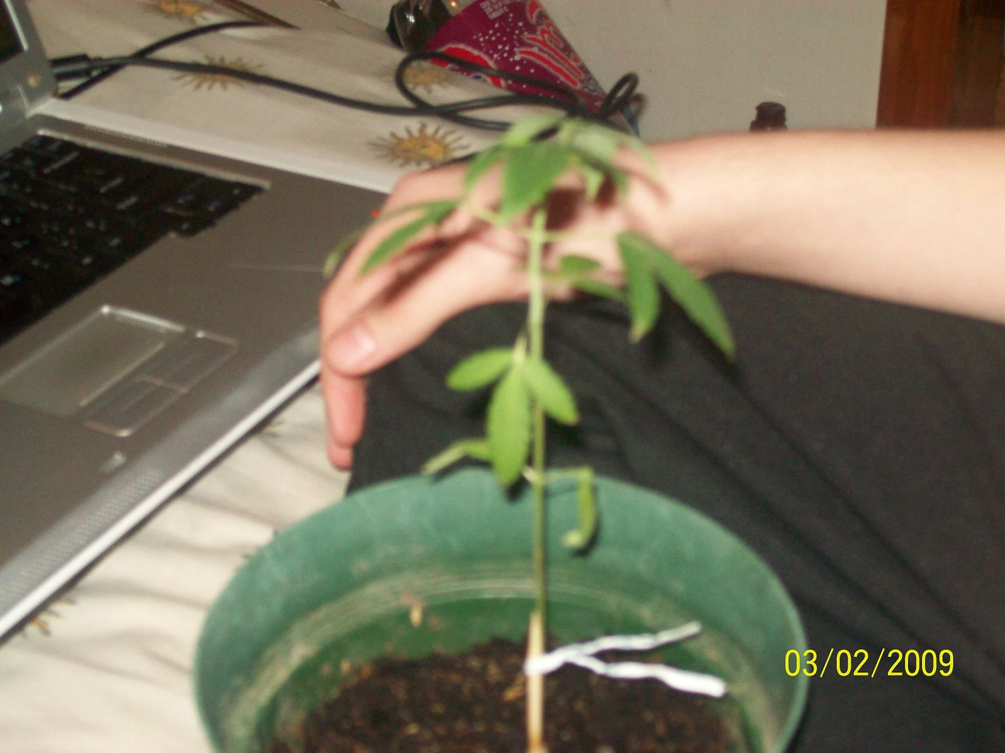 100_1004.jpg