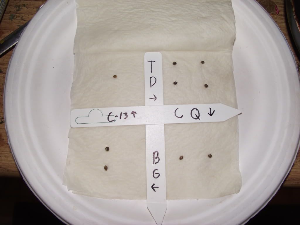 DSCF2116.jpg