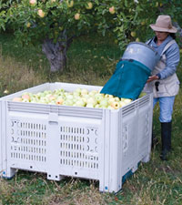 agriculture1.jpg