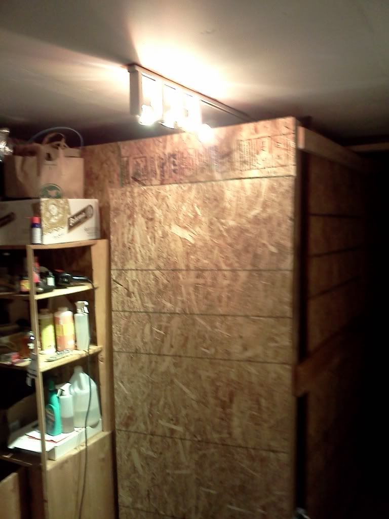 IMG_20111213_171504.jpg