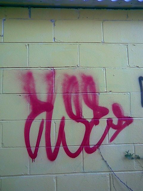 Picture018.jpg