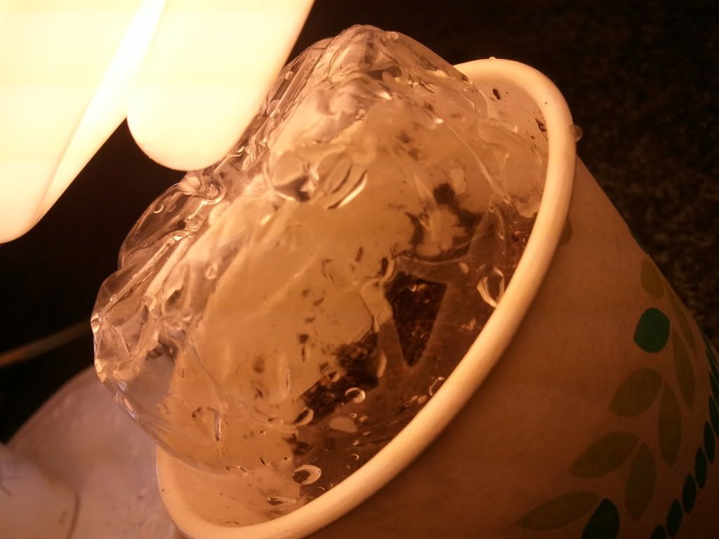 WP_000549.jpg