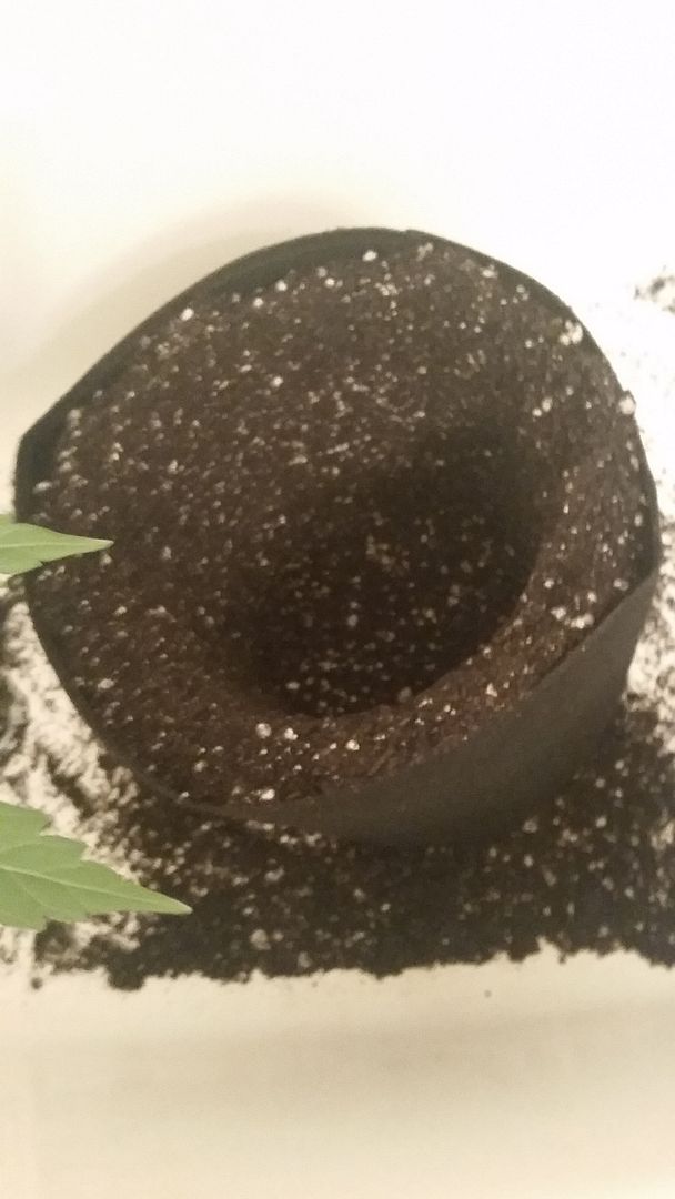 20160407_140714.jpg