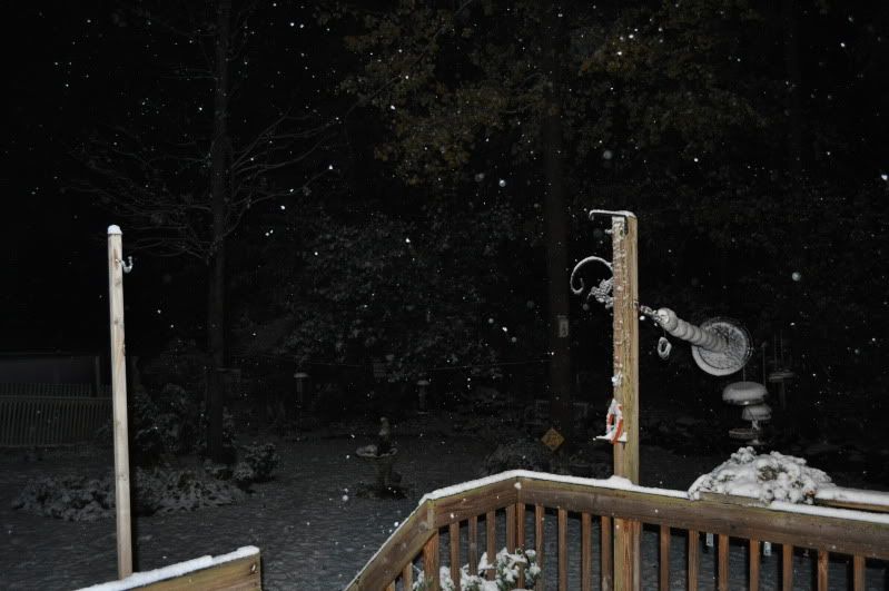 october15to16snow003.jpg
