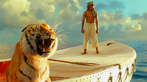 Life-of-Pi.gif