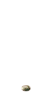 ANIMATIONGROWINGWEED.gif