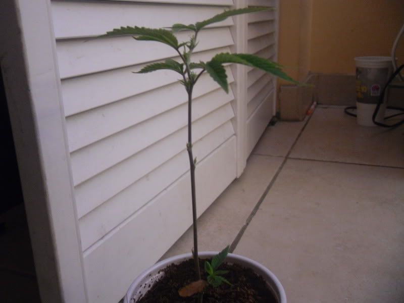 SDC10648.jpg