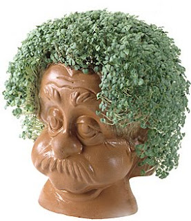 ChiaEinstein.jpg