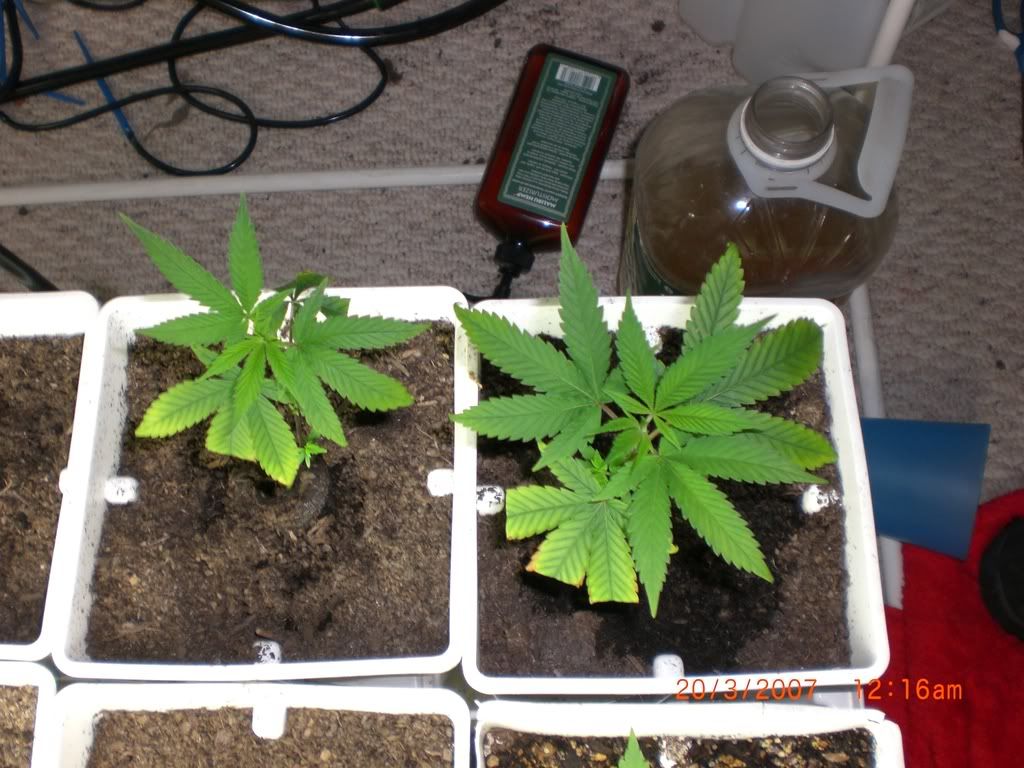 day20-3.jpg