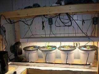 100_1051.jpg