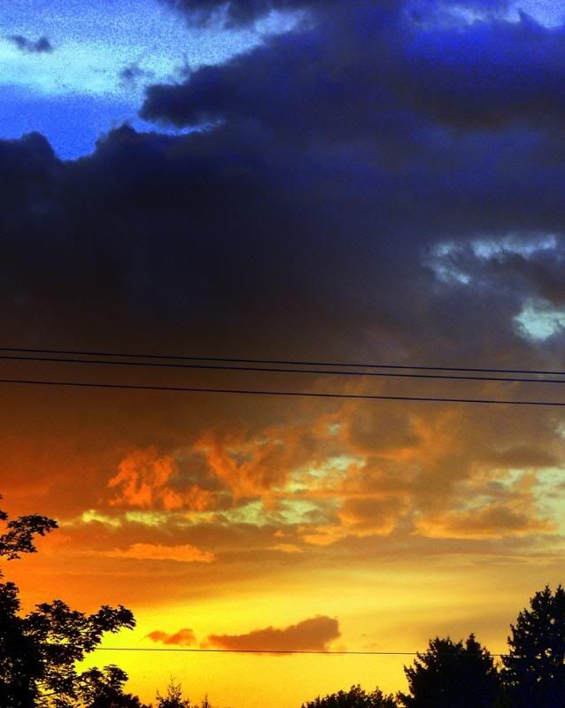 P10009581R.jpg