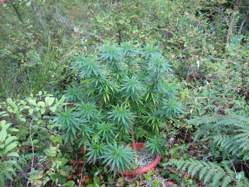 august12011.jpg