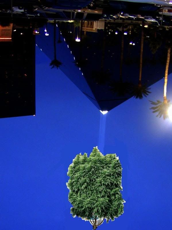 untitled-4.jpg