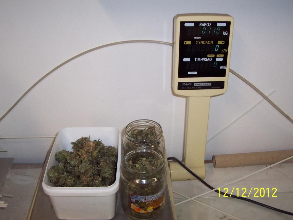100_2987.jpg