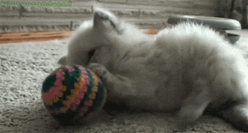 314fcc864d604f75da20a54ae66c4374.gif