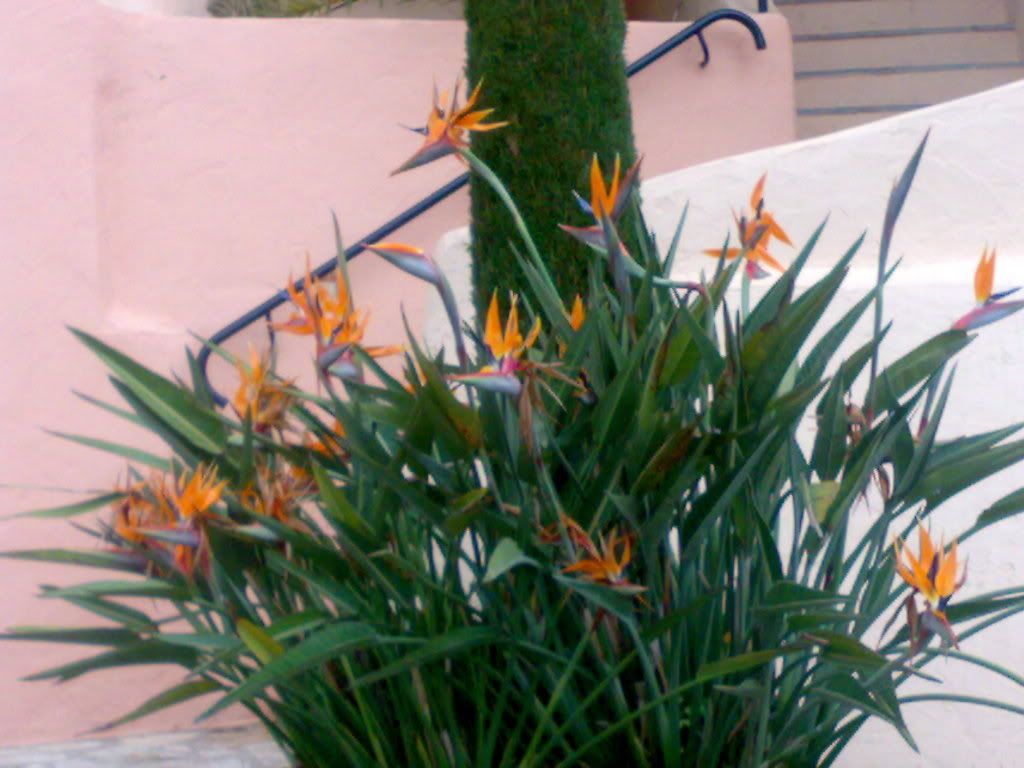 04012007437.jpg