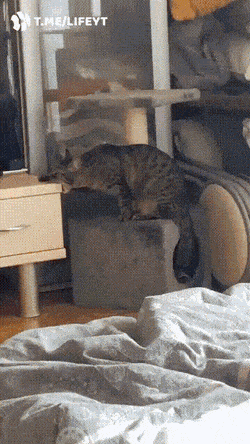 gifs_25.gif