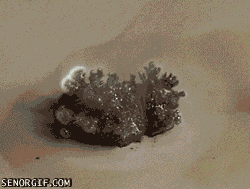 j37yj9d.gif