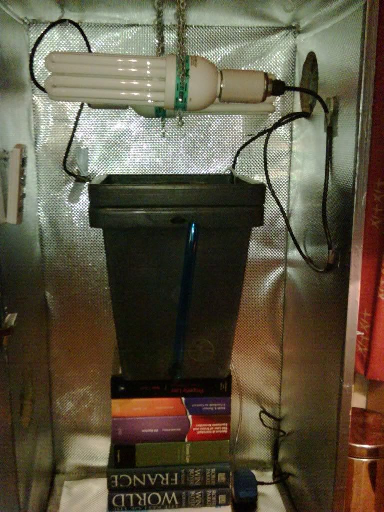 GrowBox_FrontView.jpg