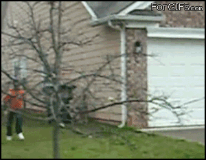 gifs_08.gif