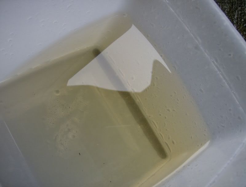 yellowed.jpg