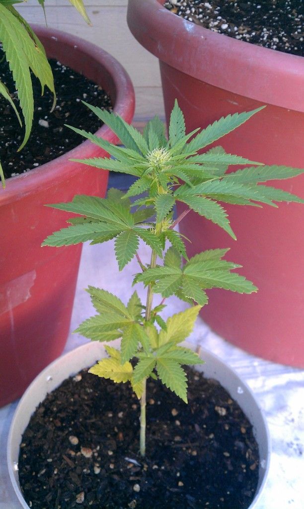 IMAG0502.jpg