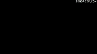 gifs_25.gif