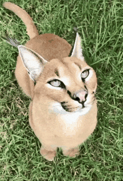 1663250365_24.gif