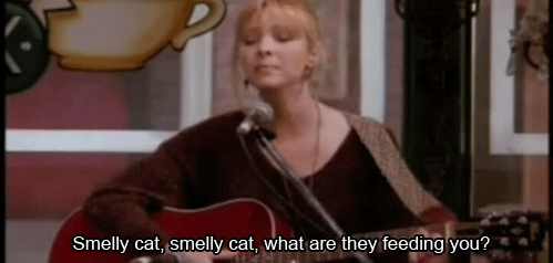 SmellyCat.gif