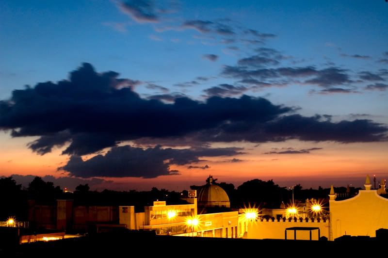 DSC_3589a.jpg