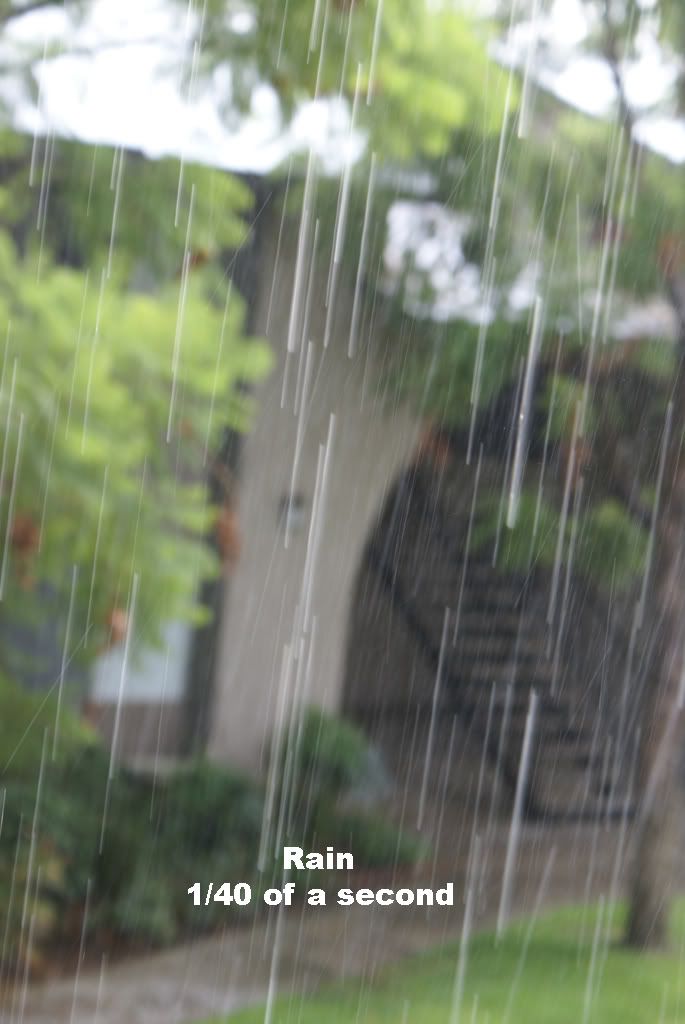 Rain40.jpg
