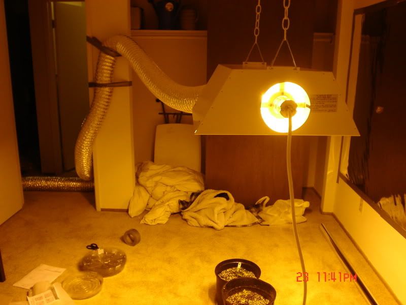 Picture066.jpg