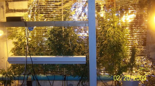 100_1425.jpg