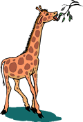 girafe1.gif