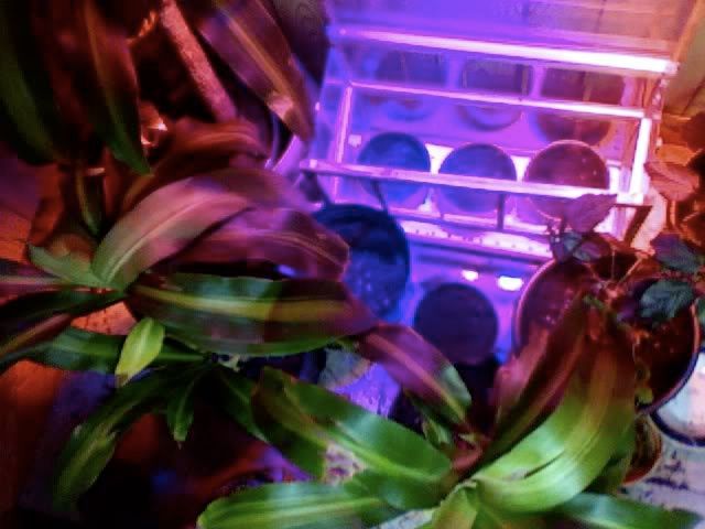 Photo31.jpg