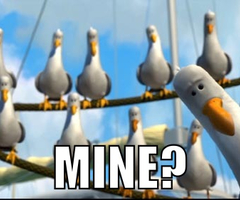 finding-nemo-seagull-mine-1.jpg