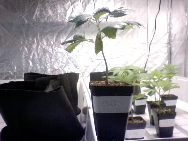 Photo37.jpg