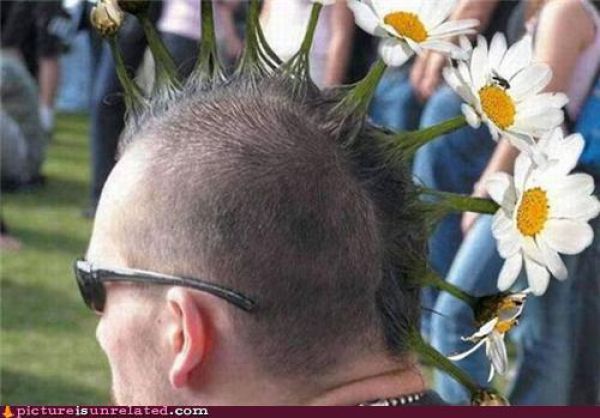 wtf_pictures_compilation_40.jpg